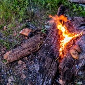 898f697809bac2fac11ccbec659ea46d