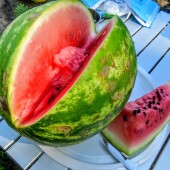 8dc486542f8f6cd89c56c21967c5ff02