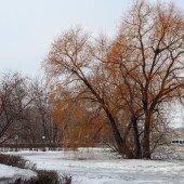 2950168ea7ab2ab17d7d24de8f08cf1b