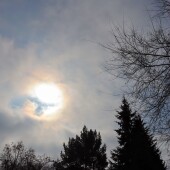 5cb519d52cde6d4a86d72ec42e6c1466