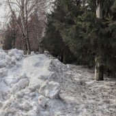 c452629d8fd63d96c0a5d53439dd296e