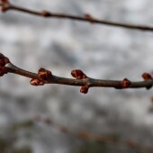 d5c09dca043397e91028fa1dd20df465