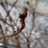 d681ea11fdda350cb370813514cde139