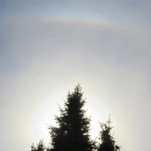 108badb59a9117cc3c56f50ab93c1549