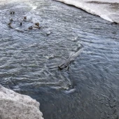 3ebdac6765bb5453167def0cebd9c642