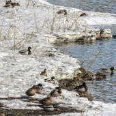 53b88b63e5dafbaf40a8080c1da1357a