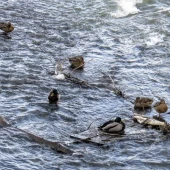 591296c09e0067232b8e5f2016860ebd