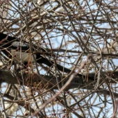 71f8b8c2f402d2f4775b443387a362bb