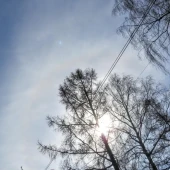 922e5c36591825a3054d475a88e07abf