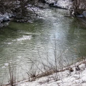 93ba642468c0b558cf9aaa7fd8a4c814