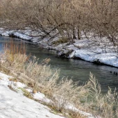 c6c6e664ddf54f7558330488f07f1db5