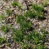 25727a1f8412e2f25f4b8ab115e12cc7