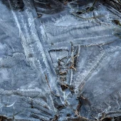 2904b1e67dc77af2b303041f3e401876