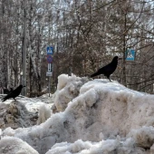 2f43119aef82d555748b8ba02291ef4e