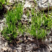 63b290caeeb4b3f6ca9e8c97779dfa1c