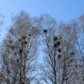 88048b7b56c380e7bd97a4c9a78ebfa2