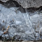 94bb2d91816d2cdfaf7b9f1e4cbff03a