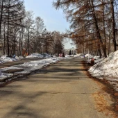 c6aaf0b6b38d81d0aa7d17d8d2443dee