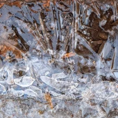 dbaa9170723f74c5a75e954e0883604f