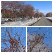 0386be79a71d098bb13c0f3e6c776c4a