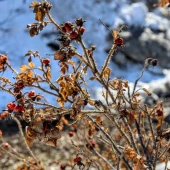 425aa14e7bcd51c42fb48158473835f1