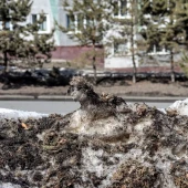 a373649730ceda078969b517d5d2ebb1