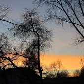 af2d03016aa597685453e08e15f982e8