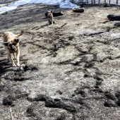 066f59744d47c3d147b373c1be8f506a