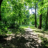 0be634e7ae15eebbc4534a2b51f43925