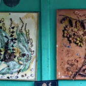 1111831539e135bea7139476e49e1e66