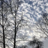 3b2eff5b6adb436862e03b452ae75e43