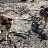 422e453b9cf598a589eae7a27308cb80