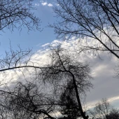 452b206b8ed46f5144f2c7dc9f219794