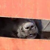 895f7e1e0f78899cbcf70f836935f533