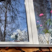 941790c1d885d027c5b953b920326a73