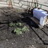 98275b7b167ba32c372ebcbf9763d9f8