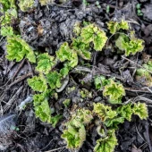 9e2138c219ee80dd78e3290a7909080e