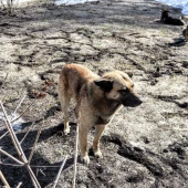 db43886e17bf16b7571803b31ebfac28