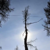 e8a0d0fb412e75b4970037c3265d6b82