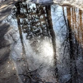 f88610ec2406fd5ca9bafc83c5bf8bcb