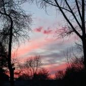 fcce585050cfb8ff409512e902fba5e9