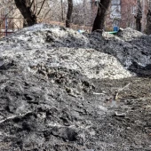 1299badbc68ea5c72cbd7e66f8cf8d77