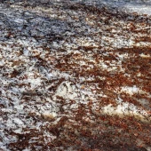 2cead166834a00b087371e5e1398cf65