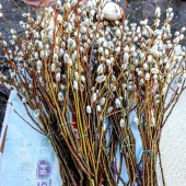 2d683f9d555feb1d24eeb33093af6e24