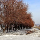 336034cda7b3a7a2ecd07e3dcd87edc8