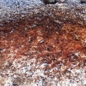 354f319228f6f81da8e4f98fdac8c858