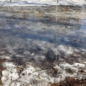 50f5e76c70cca6affc04d1e2337e2184