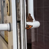 8f9adfe7cae0f9bc64938cafa75db980