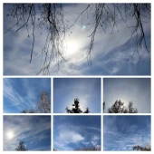 9cc130bbb91d51ba8270c7a8e16b2e38