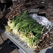 bda211649d1c32e918edaceb354353d5